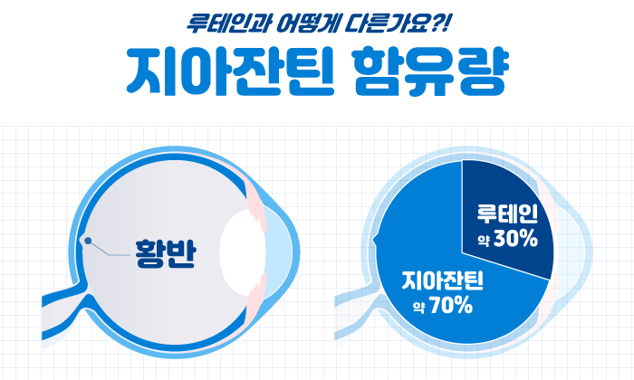 [눈 건강] 눈에 좋은 지아잔틴, 루테인과 어떻게 다른가요?