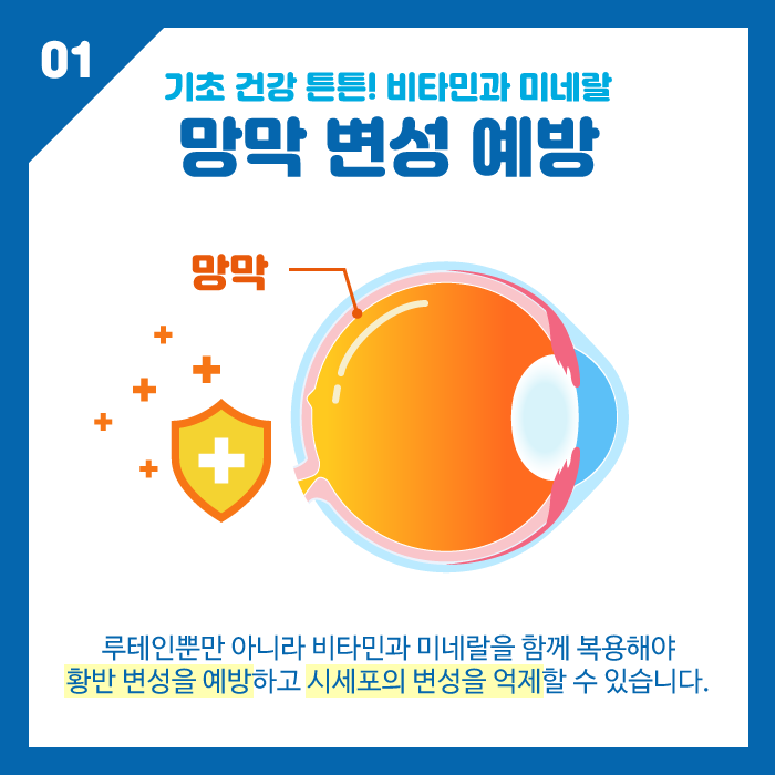 [眼睛健康] 了解對眼睛有益的維生素和礦物質的功效！ 사진 3