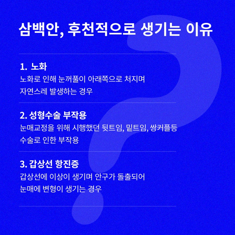 [Pupil Cosmetic Surgery Eye Ring] Worried about Sanbaek-an or Sabaek-an? 사진 3