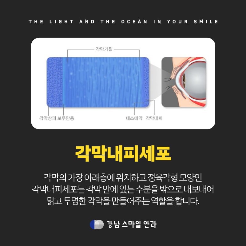 Pentingnya Pemeriksaan Sel Endotel Sebelum Operasi Implan Lensa di Gangnam! 사진 4